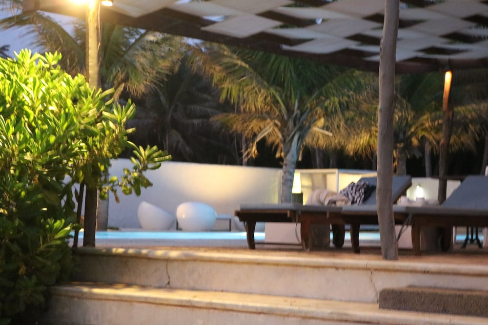 dolphin beach kalpitiya