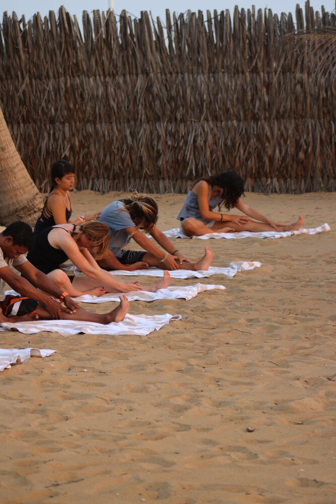 dolphin beach kalpitiya