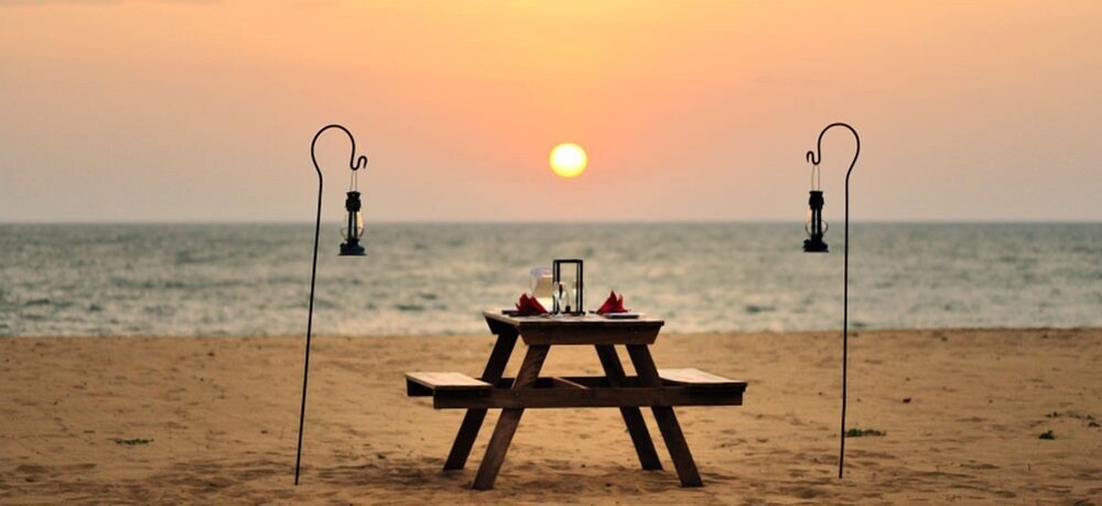 dolphin beach kalpitiya