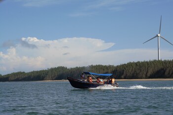 dolphin beach kalpitiya