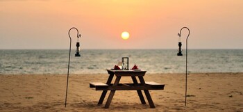 dolphin beach kalpitiya