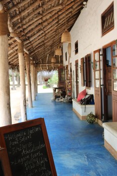 dolphin beach kalpitiya