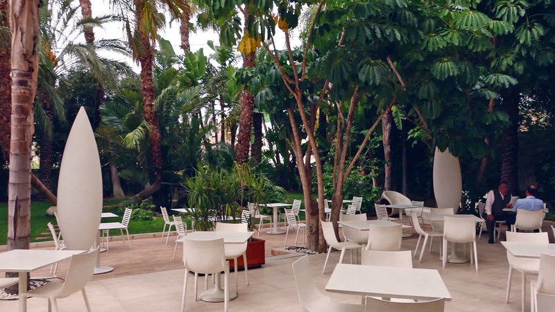 hotel areca