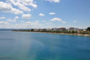chalcis