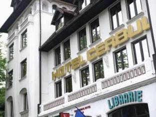 hotel rina cerbul