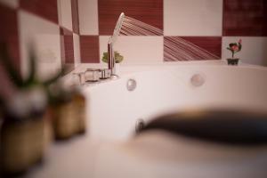 hotel rina cerbul