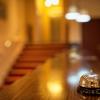 hotel rina cerbul