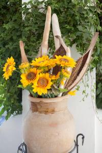 hotel girasole