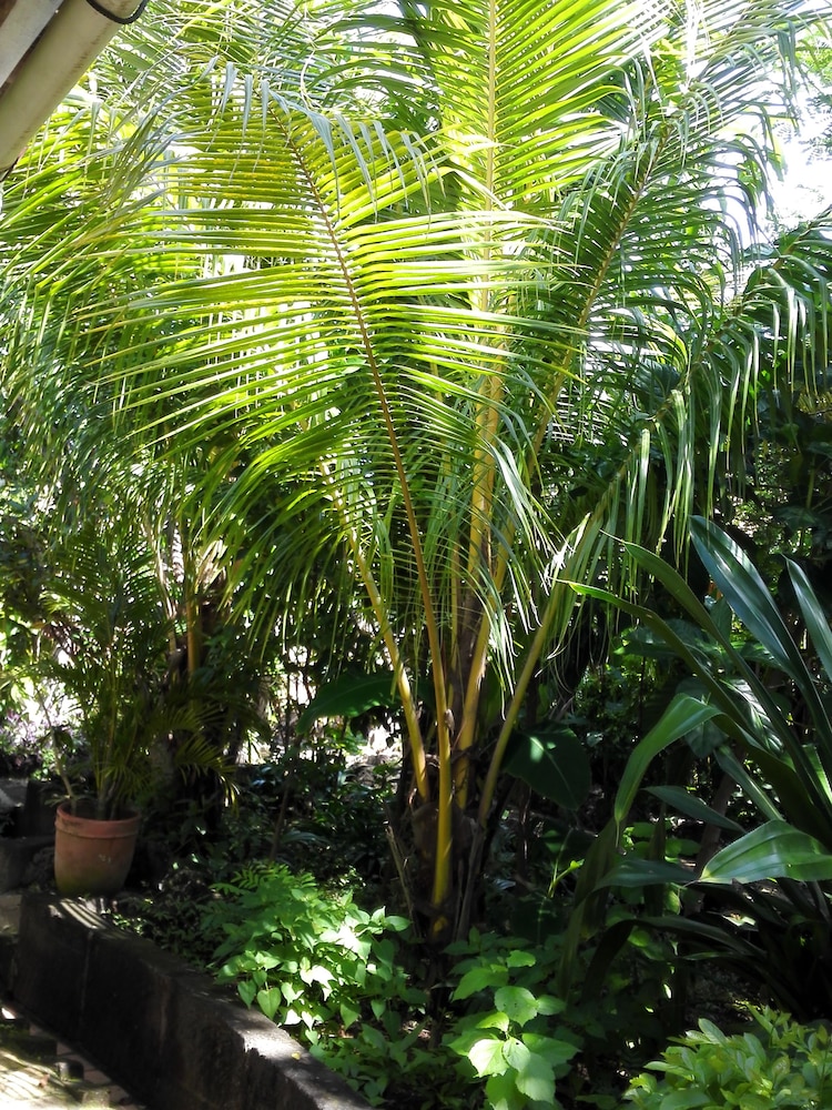 hotel casa barcelona