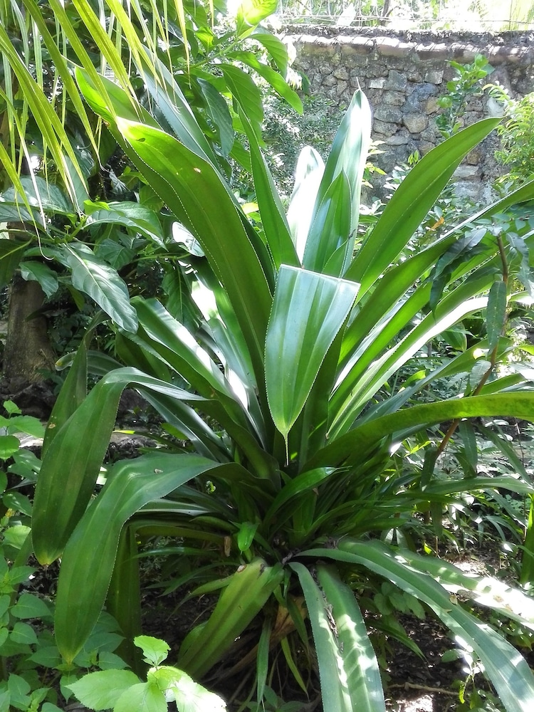 hotel casa barcelona