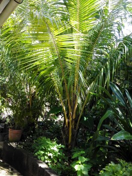 hotel casa barcelona