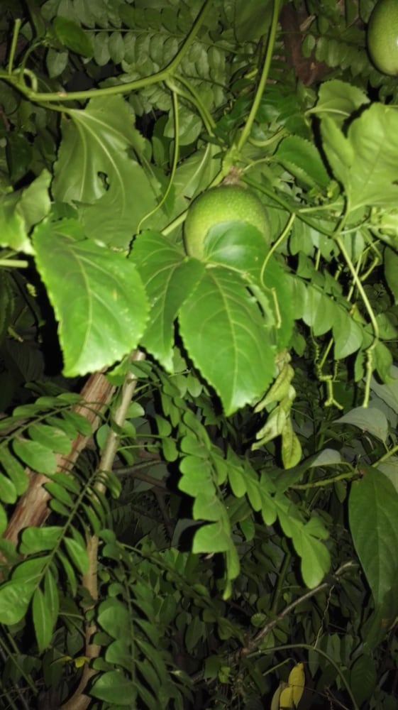 hotel casa barcelona