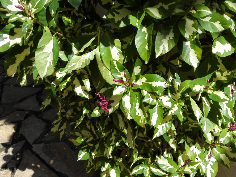 hotel casa barcelona