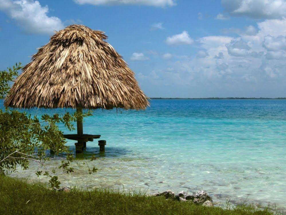 bacalar