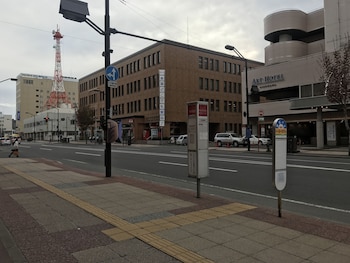 asahikawa toyo hotel
