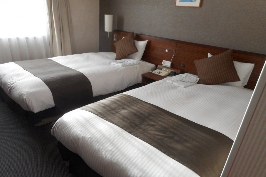 alpico plaza hotel