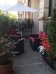 gallarate