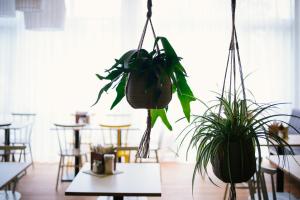 vienna house easy by wyndham amberg