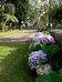 hotel quintinha de sao joao
