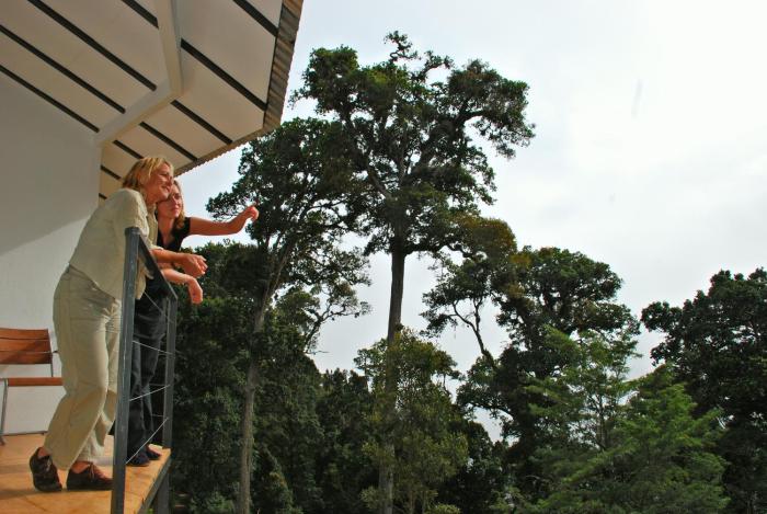 dantica cloud forest lodge