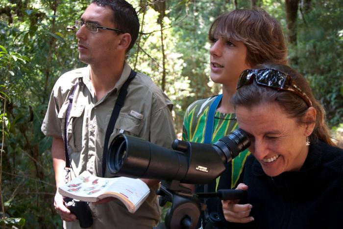 dantica cloud forest lodge