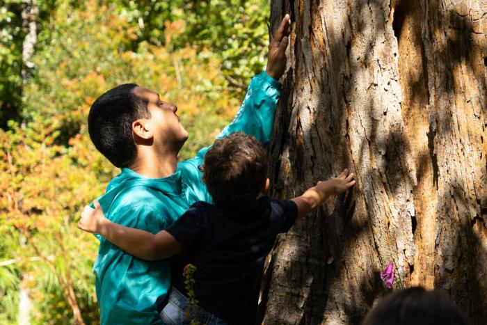 dantica cloud forest lodge