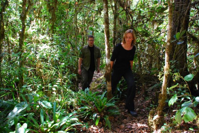 dantica cloud forest lodge