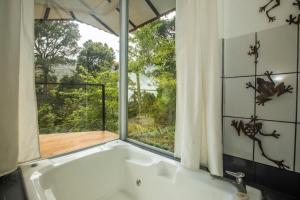 dantica cloud forest lodge