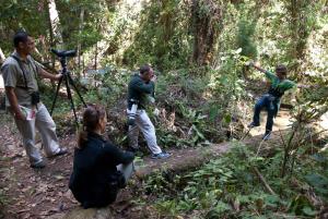 dantica cloud forest lodge
