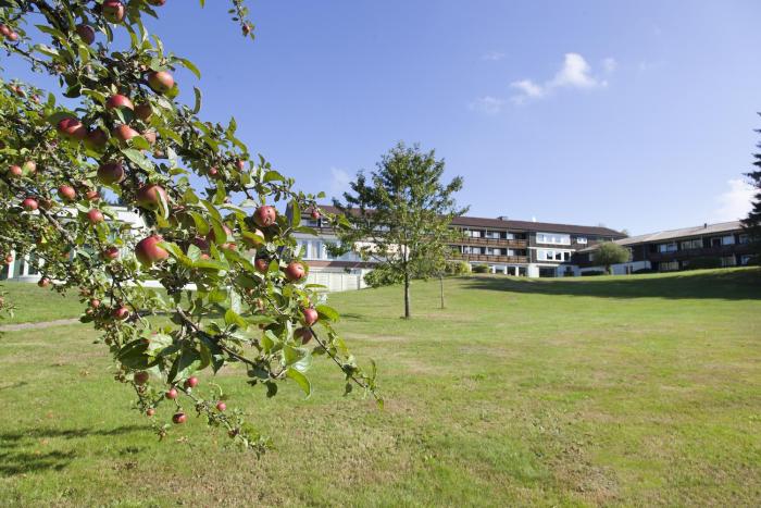 hotel schwarzwald freudenstadt