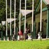 nuwara eliya golf club
