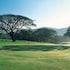 nuwara eliya golf club