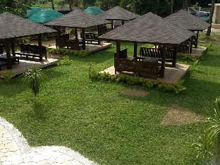 bearland paradise resort