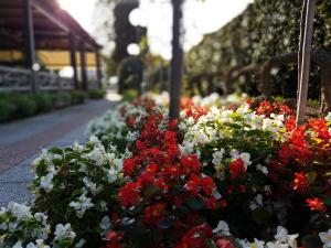 hotel bel sito