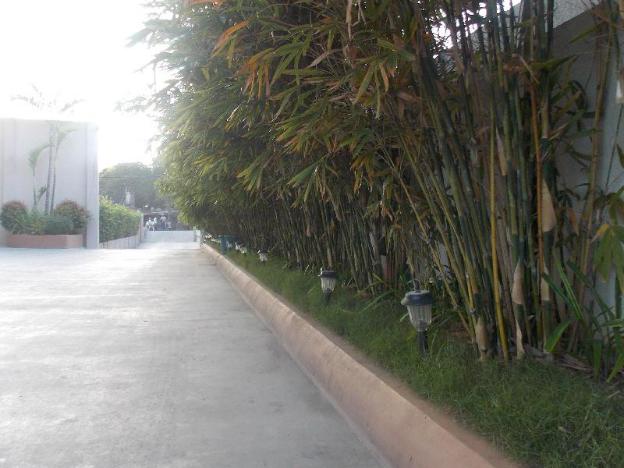 main hotel and suites