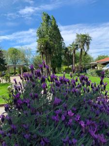 hotel la bergamina