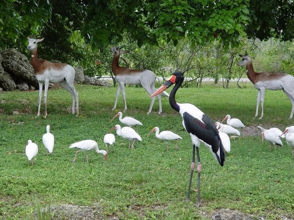 marrets international hotel