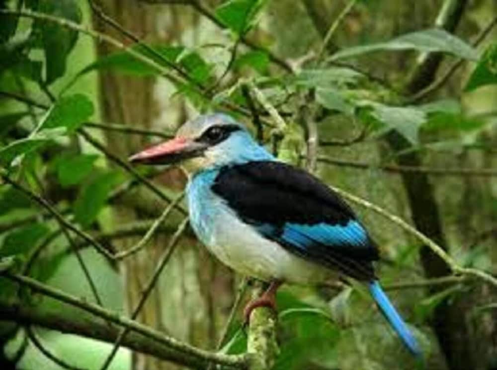 marrets international hotel