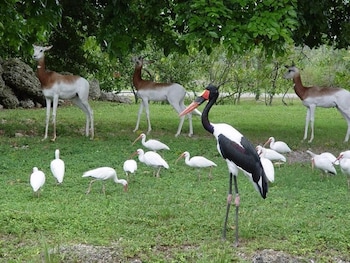 marrets international hotel