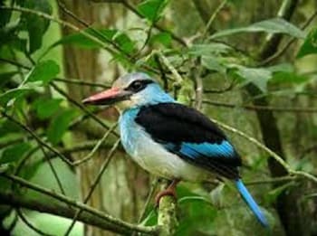 marrets international hotel