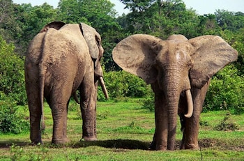 marrets international hotel