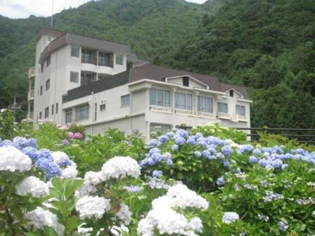 shoji mount hotel