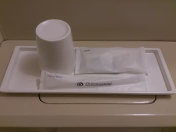 fukuyama oriental hotel