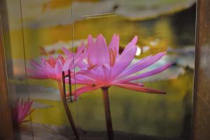 van der valk hotel dennenhof