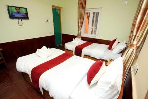 hotel backpackers inn