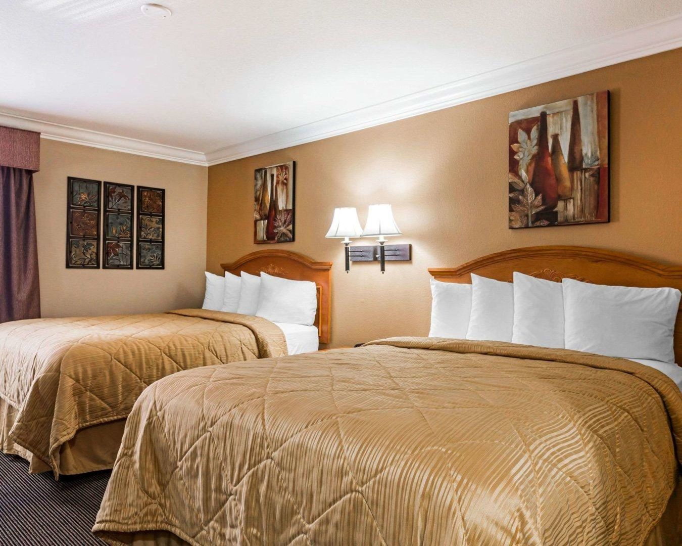 quality inn and suites