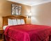 quality inn and suites