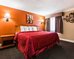 quality inn and suites