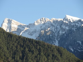 konitsa