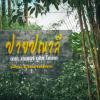 pai panalee the nature boutique hotel